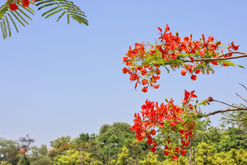 MANDALAY/MYANMAR(BURMA) - 26th Nov, 2019 : Mandalay is a second largest city of Myanmar(Burma). 
