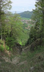 Tiefe Schlucht am Wanderweg nach Hohenaschau