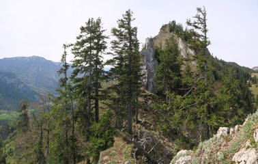 Fototapeta na wymiar Gratwanderung oberhalb von Hohenaschau