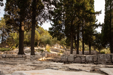 Surrounding view of the walking tour of the small island of Saint Mary the 12th century benedictine monastery at Mljet malo jezero,  and the National Park unseco calm peaceful nature with greenery