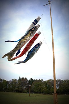 Low Angle View Of Koi Carp Kites Tied To Pole On Field Against Sky