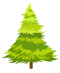 Fototapeta premium green spruce tree vector drawing