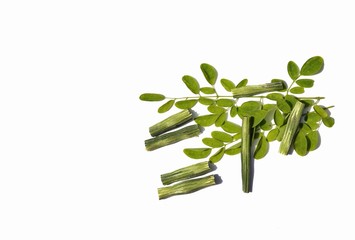 Drumstick Pods and Leaves Isolated on White Background in Horizontal Orientation with Copy Space for Texts Writing, Also known as Horseradish