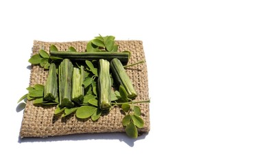 Drumstick Pods and Leaves or Moringa Oleiferaon Burlap Fabric Isolated on White Background in Horizontal Orientation with Copy Space for Texts Writing