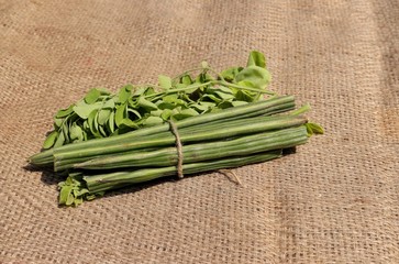 Drumstick Pods and Leaves or Moringa Oleiferaon on Burlap Background with Selective Focus in Horizontal Orientation