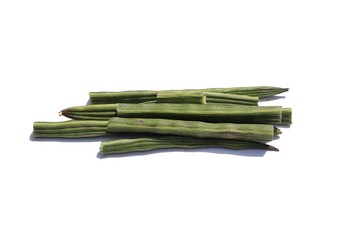 Fresh Drumstick Pods or Horseradish Pods Isolated on White Background in Horizontal Orientation