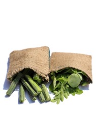 Moringa Oleifera Leaves and Drumstick Pods in Jute Sacks Isolated in White Background in Vertical Orientation