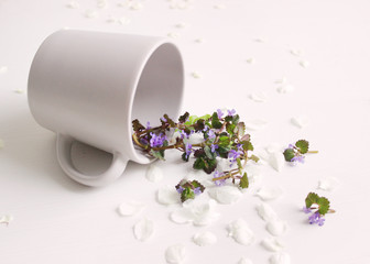 blooming flowers in a cup are scattered on a light table. spring flowers on a light background in a cup.