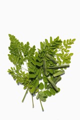 Moringa Oleifera Leaves and Drumstick Pods Isolated on White Background in Vertical Orientation