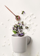 spring flowers fall in a cup. flower tea from flowers. teaspoon with fresh flowers on the table.