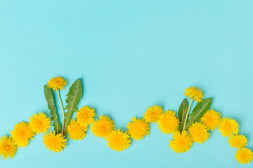 Dandelion flowers on blue background top view