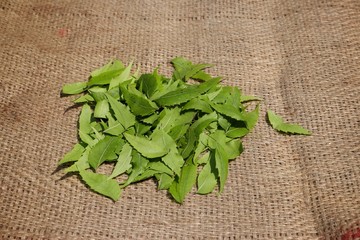 Stack of Neem Leaves or Azadirachta Indica Leaves on Burlap Background in Horizontal Orientation