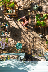 Top view, a woman preparing her plantings in wooden planters on her flowered terrace, she wears a gardener apron.