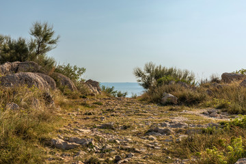Fototapeta na wymiar Makarska in Dalmatia, Croatia. View from the peninsula on a sunny day in summer with a blue sky. Rough nature, a path with greenery and rocks guiding to the sea at the Mediterranean coast
