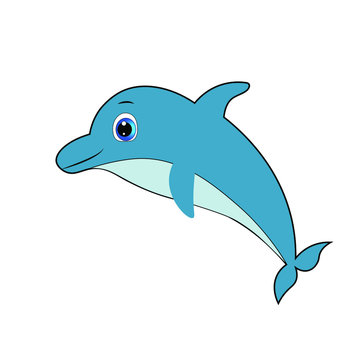 cute dolphin cartoon illustration, summer vector