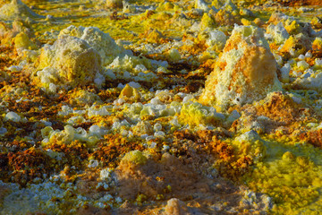 Dallol landscape close up, Danakil desert, Ethiopia