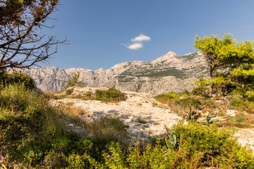 Makarska in Dalmatia, Croatia. View from the peninsula on a sunny day in summer with a blue sky. Rough nature, greenery, trees and rocks and the famous Biokovo mountain at the Mediterranean coast