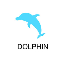 cute dolphin cartoon illustration, summer vector