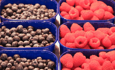 Blueberries and raspberries in boxes in market