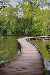 Fototapeta na wymiar Child, boy, sitting or running on a wooden bridge over lake