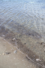 海