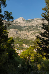 Fototapety na wymiar - Fototapeta24.pl