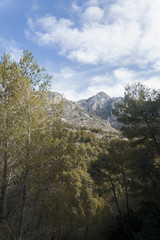 Nature landscape of mountains and trees in a cloudy sky