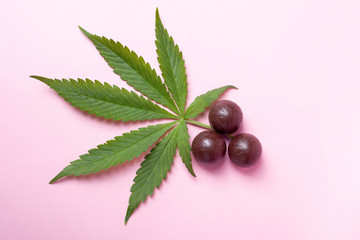 cannabis chocolates and green leaf on pink background.medical marijuana coffee sweets to enhance mood and relaxation