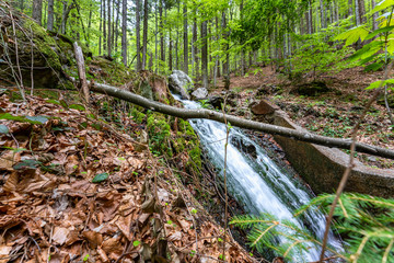 Wanderung zu den Ri&szlig;loch Wasserf&auml;lle bei Bodenmais | Naturerlebnis Bayerischer Wald