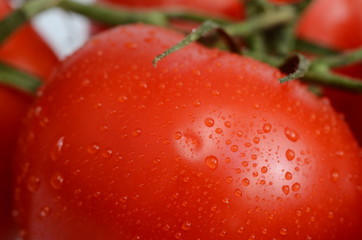 Red tomatoes bunch on light background