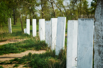 Fototapeta premium A row of concrete columns buried in the ground. The fence in the park from cars.