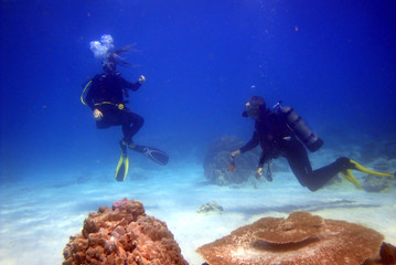 scuba divers underwater 