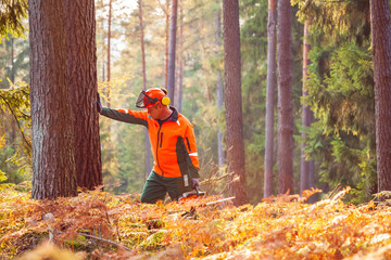 lumberjack