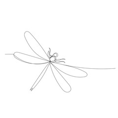 dragonfly continuous line drawing, sketch