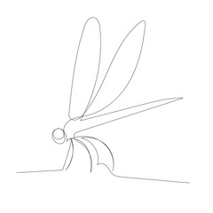 vector, white background, dragonfly continuous line drawing, outline