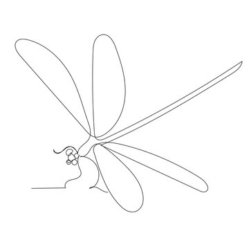 recommend clip art: vector, white background, dragonfly continuous line drawing, outline
