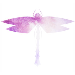  white background, watercolor silhouette lilac dragonfly, insect