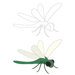 vector, on a white background, green dragonfly, insect, outline