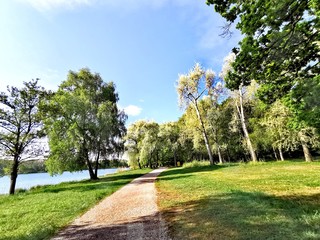 Natur; See; Bäume; Weiher; Schilf; Enten; Donau; Grün; Frühling; Baggersee;
