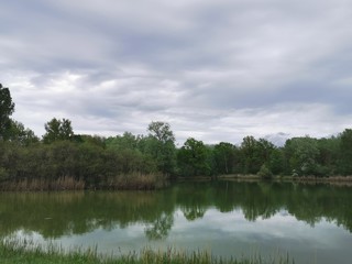 Natur; See; Bäume; Weiher; Schilf; Enten; Donau; Grün; Frühling; Baggersee;