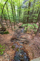 Wanderung zu den Rißloch Wasserfälle bei Bodenmais | Naturerlebnis Bayerischer Wald