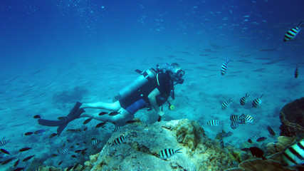 Fototapeta na wymiar scuba diver underwater 