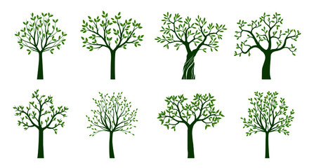 Set Green Trees with Leaves. Vector outline Illustration. Outline Tree, Plant in Garden.