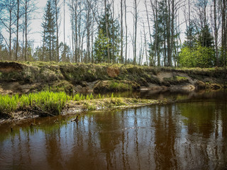landscape with a small wild river bank, the first spring greenery, last year's reeds, tree...
