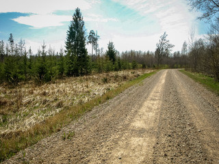 Fototapeta na wymiar a simple country road, the first bright spring greenery, the first leaves in the trees