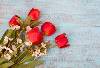 Bouquet of red tulips with cherry white flowers  on blue wood background. Celebration concept