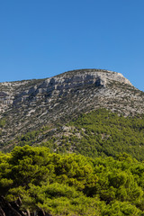 Beautiful mountain with greenery on Bol, Brac island in Croatia during on a sunny day in summer with a blue sky. Holiday destination, idyllic calm scenery, feeling of freedom