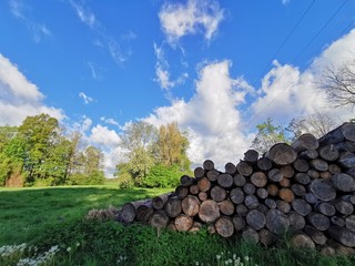 Natur; Landschaft; Blumen; Bäume; See; Weiher; Himmel; 