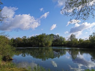 Natur; Landschaft; Blumen; B&auml;ume; See; Weiher; Himmel; 