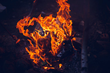 flame of fire on a black background.